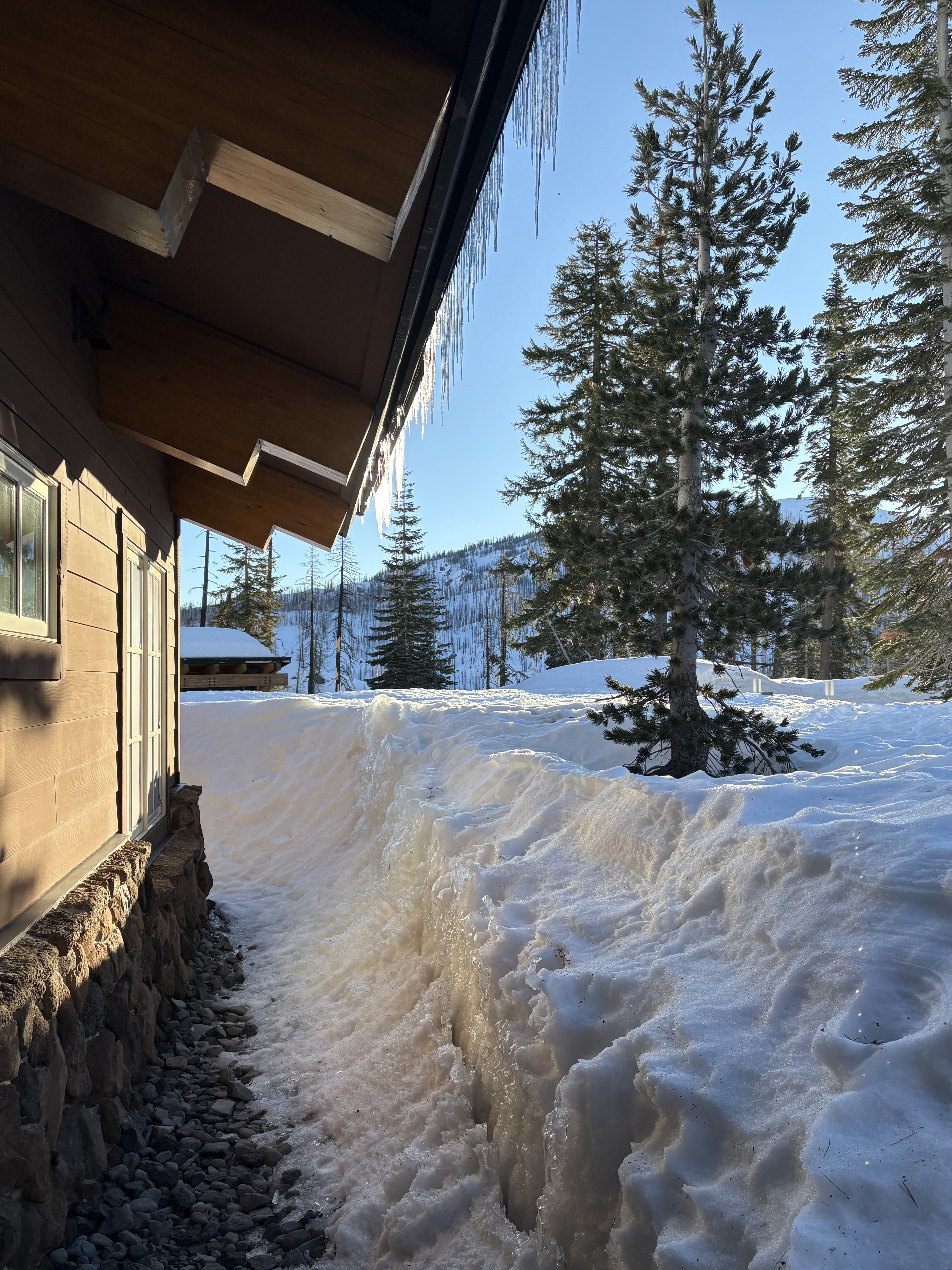 Lassen Volcanic National Park - January